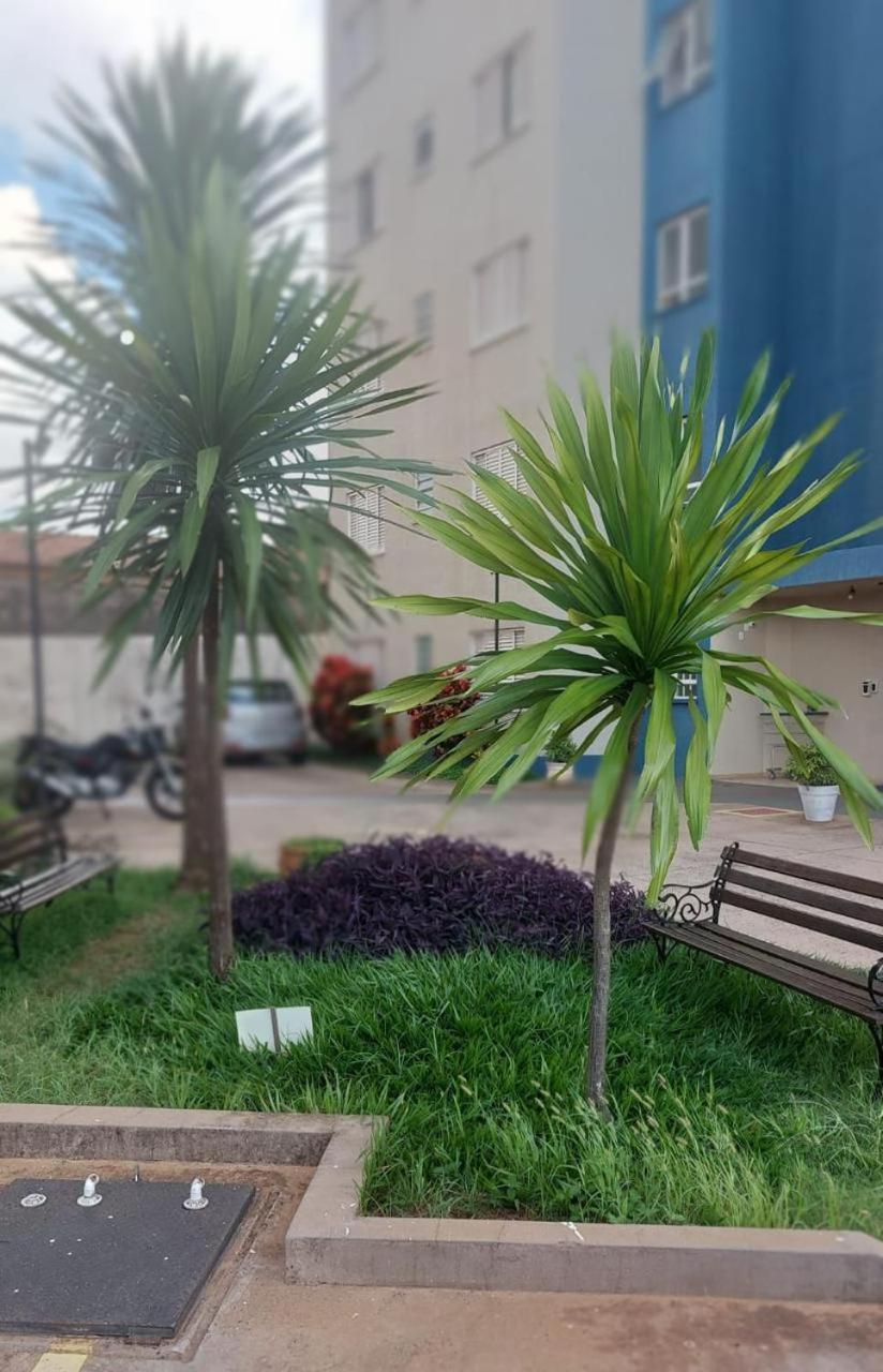 Apartamento Mari 7 São Carlos 外观 照片